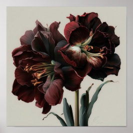 Bourgogne Amaryllis Bloemenkunst Print Poster