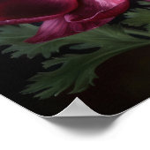 Bourgogne Anémone Fleurs Art Imprimer Poster (Coin)