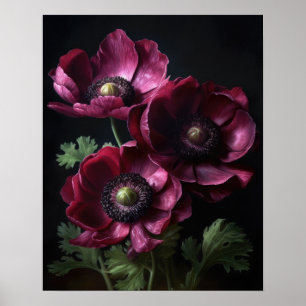 Bourgogne Anemone Flowers Art Print Poster