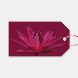 Bourgogne Roze Water Lily Cadeau Labels Cadeaulabel