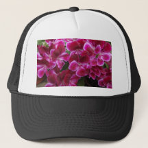 Bourgondische Geranium
