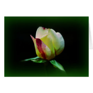 "Bourse Sur Le Chemin"