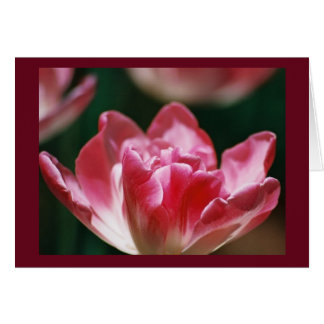 "Bourse Sur Le Chemin"