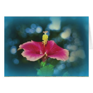 "Bourse Sur Le Chemin"