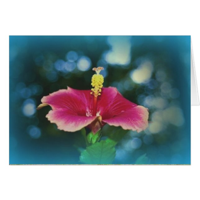 "Bourse Sur Le Chemin" (Devant Horizontal)