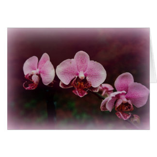 "Bourse Sur Le Chemin"