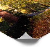 Bourton op de waterherfst Trees Cotswolds Verenigd Poster (Hoek)