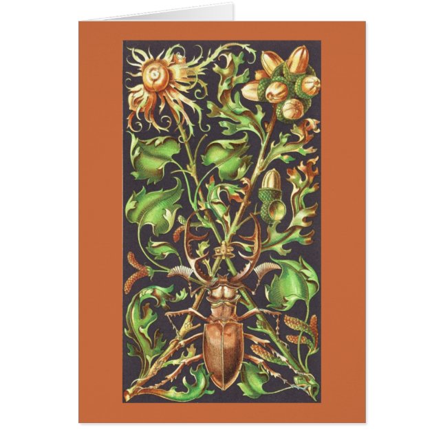 Bousier à cornes en Brown (Devant)