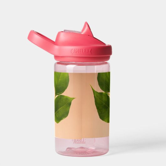 Bouteille (Arrière Complet)