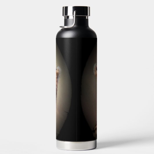 Bouteille à Cheetah Marques à l'eau isolée Bouteil (Droite)