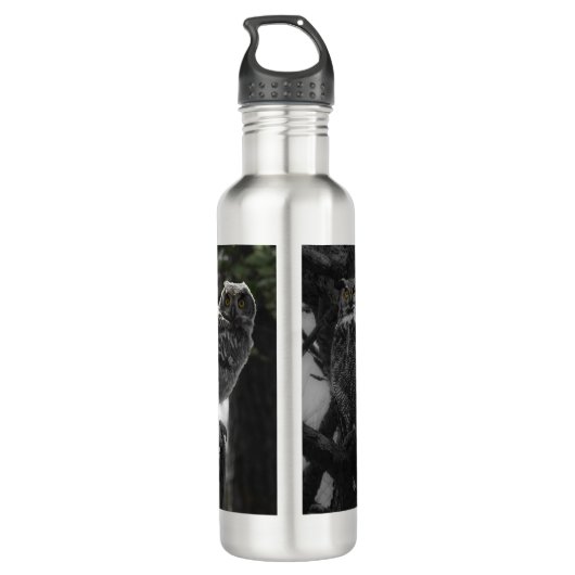 Bouteille à grande corne (Dos)