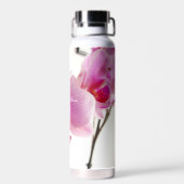 Bouteille d'eau (Arrière)