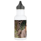 Bouteille d'eau (Gauche)