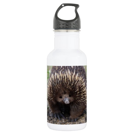 Bouteille D'eau Adorable Echidna Australienne (Devant)