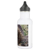 Bouteille D'eau Adorable Echidna Australienne (Droite)
