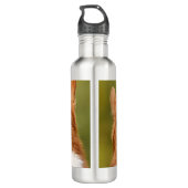 Bouteille D'eau Ajouter photo de chien personnalisé Customisé (Dos)