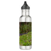 Bouteille D'eau Alligator à Viera Wetlands Floride Photo (Droite)