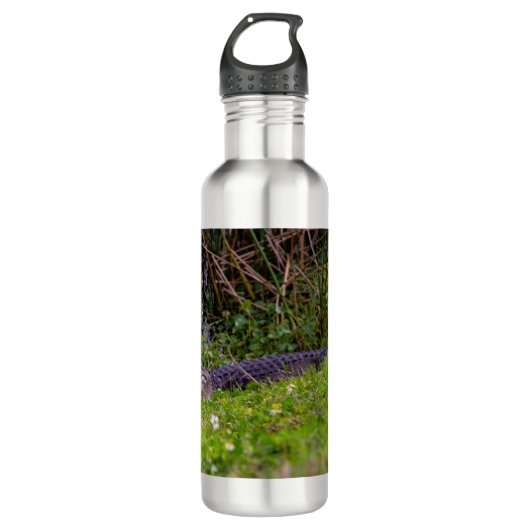 Bouteille D'eau Alligator à Viera Wetlands Floride Photo (Devant)