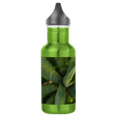 Bouteille d'eau Aloe Vera (Gauche)