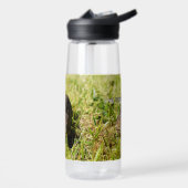 Bouteille D'eau Ambler Blindé : La promenade secrète de Shinglebac (Gauche)