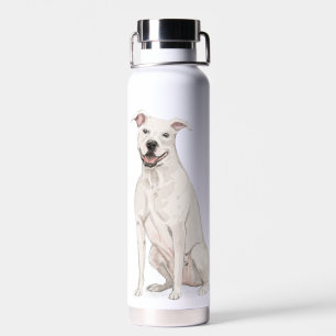 Bouteille d'eau American Staffordshire Terrier