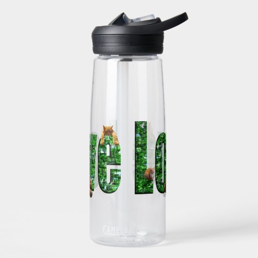 Bouteille D'eau Amour = Chatons, (Gauche)