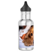 Bouteille D'eau Anglais Cocker Spaniel Chien (Gauche)