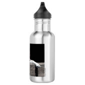 Bouteille d'eau anglaise d'indicateur - "Sophie " (Droite)