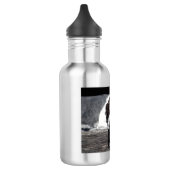 Bouteille d'eau anglaise d'indicateur - "Sophie " (Gauche)