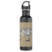 Bouteille D'eau Antique Cow Skeleton Bones (Devant)