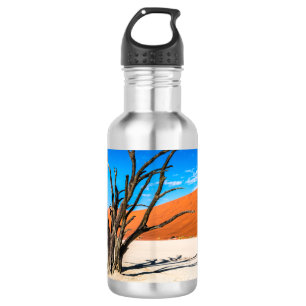Bouteille D'eau Arbre mort à Deadvlei, Namibie