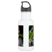 Bouteille D'eau Au gnome dans le jardin (Dos)