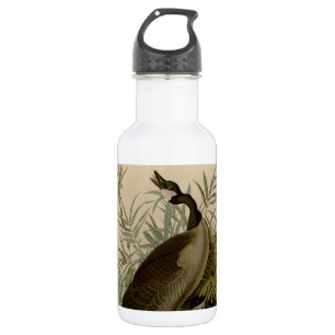Bouteille D'eau Audubon Canada Oies Oiseaux sauvages