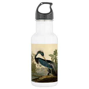 Bouteille D'eau Audubon Héron de Louisiane Oiseaux Amérique Art