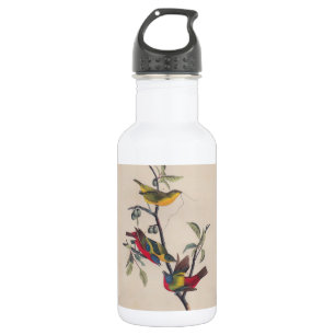 Bouteille D'eau Audubon Peint Bunting Bird Wildlife