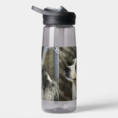 Bouteille D'eau Aussie (Droite)