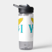 Bouteille d'eau avec drapeau des îles Vierges, Éta (Droite)