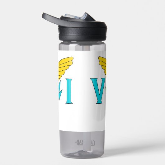 Bouteille d'eau avec drapeau des îles Vierges, Éta (Droite)