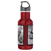 Bouteille D'eau Avion rouge (Dos)