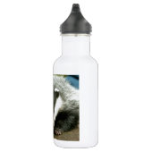Bouteille D'eau Badger - Superbe photo pro ! (Droite)
