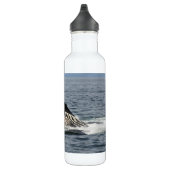 Bouteille D'eau Baleine à bosse (Droite)