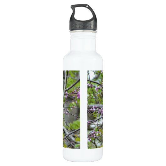 Bouteille D'eau Baltimore Oriole (Dos)