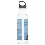 Bouteille D'eau Beau canard arlequin sur le rocher (Dos)