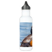 Bouteille D'eau Beau canard arlequin sur le rocher (Gauche)