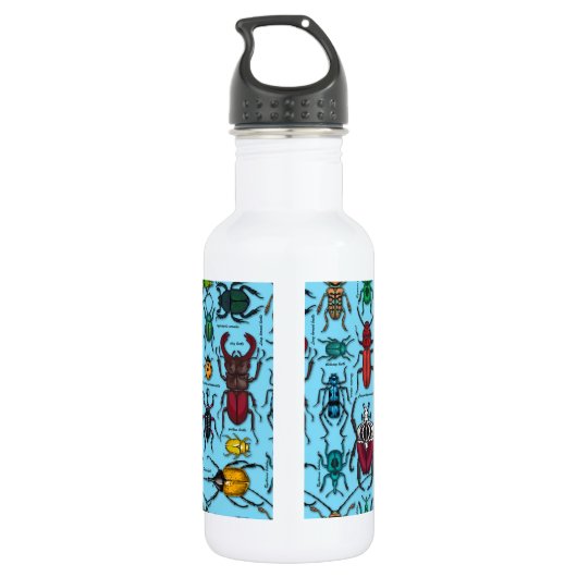 Bouteille D'eau Beetons sur bleu (Dos)