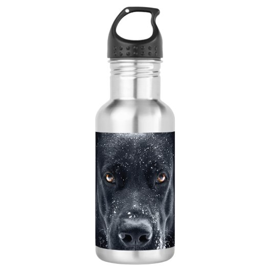 Bouteille D'eau Black German Shepherd (Devant)