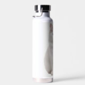 Bouteille d'eau blanche pour chats (Plage)