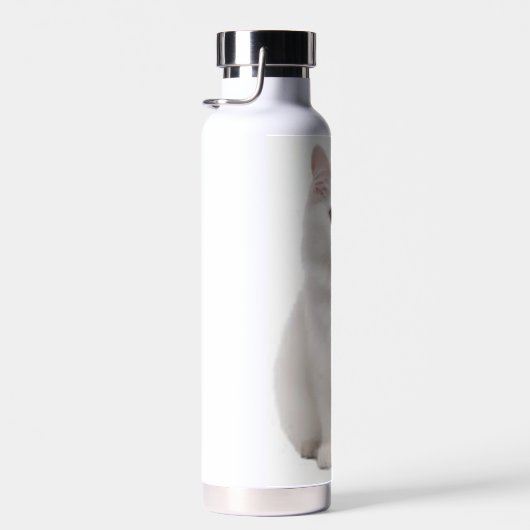 Bouteille d'eau blanche pour chats (Plage)