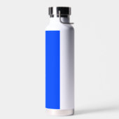Bouteille D'eau Bleu (RYB) (couleur solide) (Gauche)