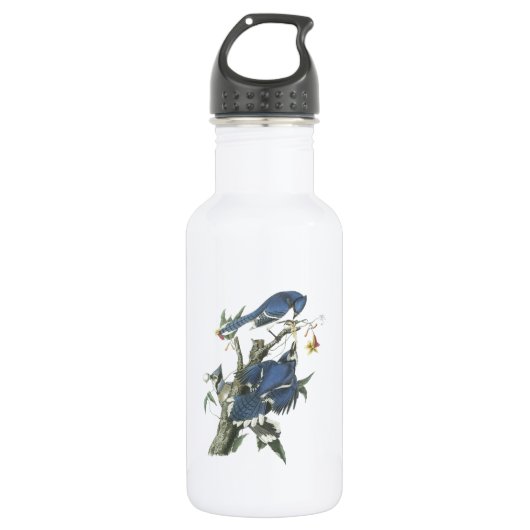 Bouteille D'eau Blue Jay par Audubon (Devant)
